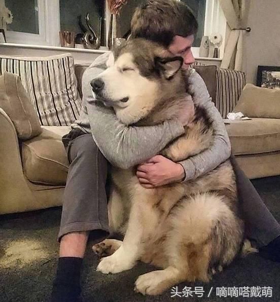 优秀鲁企的“大质量”理念与实践_开云电竞中国(图2) 开云电竞中国