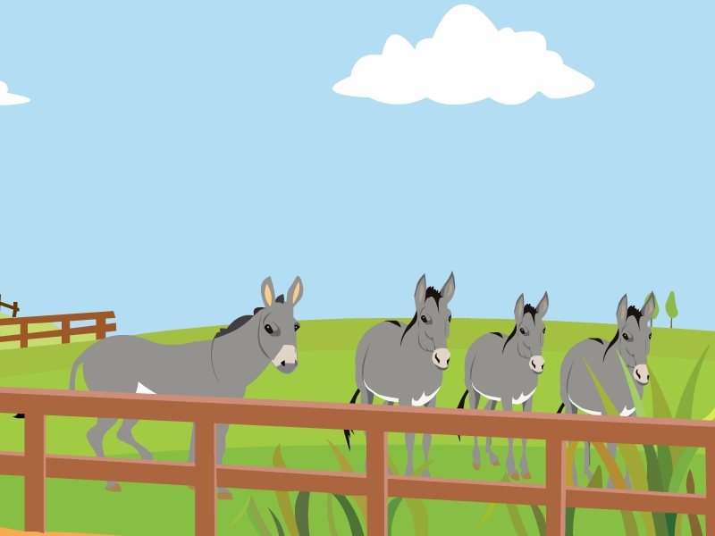 专家表示流感病毒变异属常见不用过度恐慌_开云电竞中国