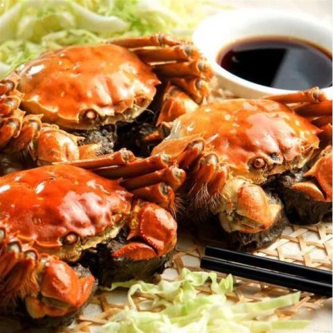 开云电竞官方网站