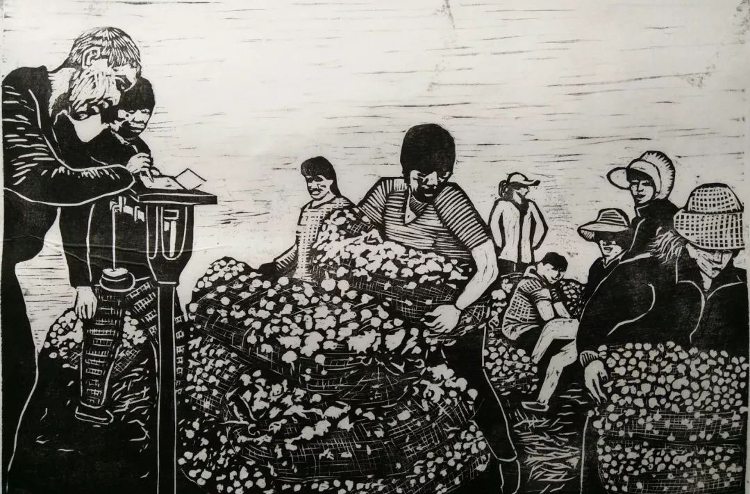 开云电竞官方网站