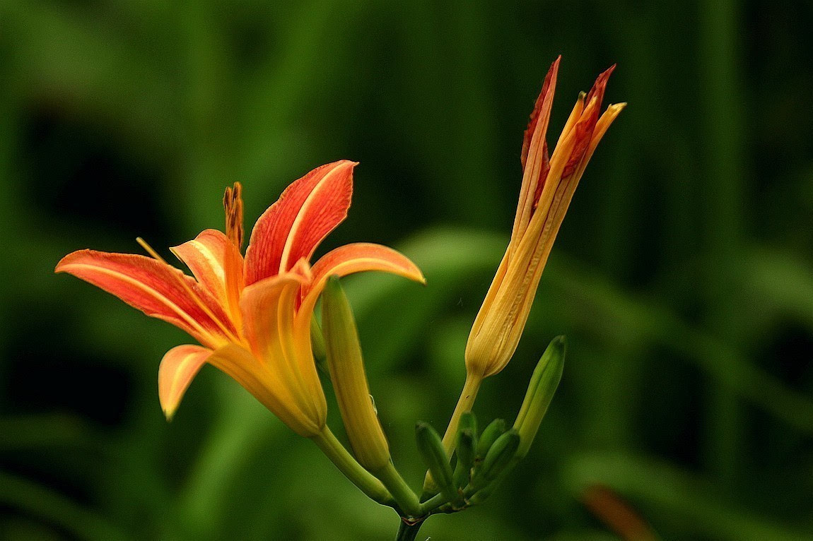 开云电竞官方网站