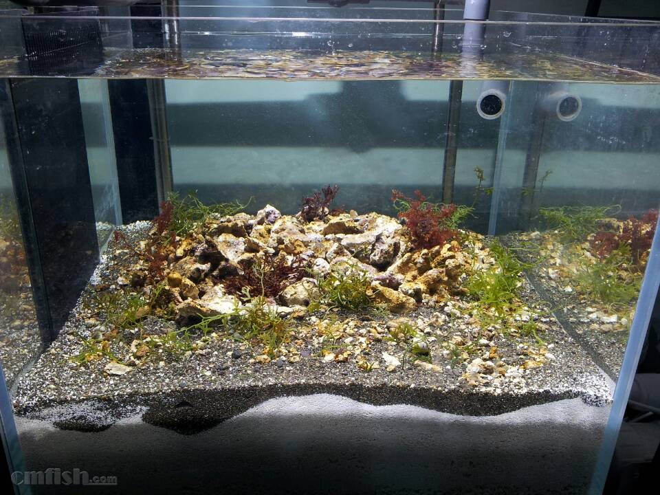 开云电竞官方网站