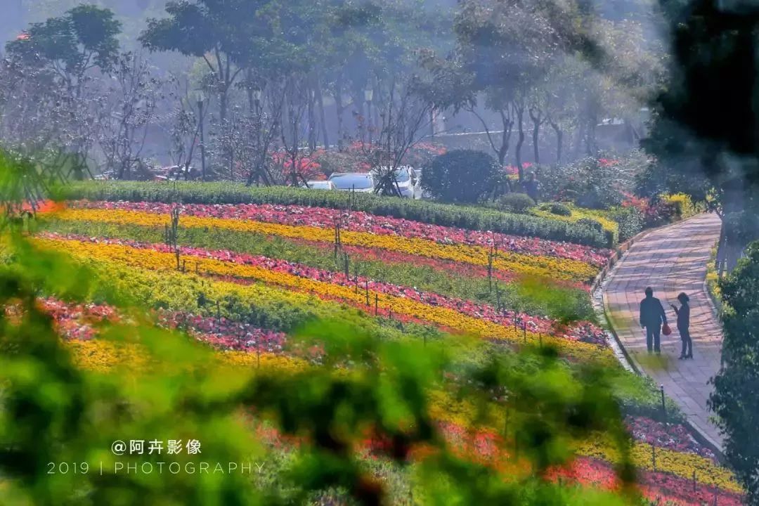 ‘开云电竞中国’女性容颜必需的维生素 维生素能让女性保持容颜(图1) 开云电竞中国
