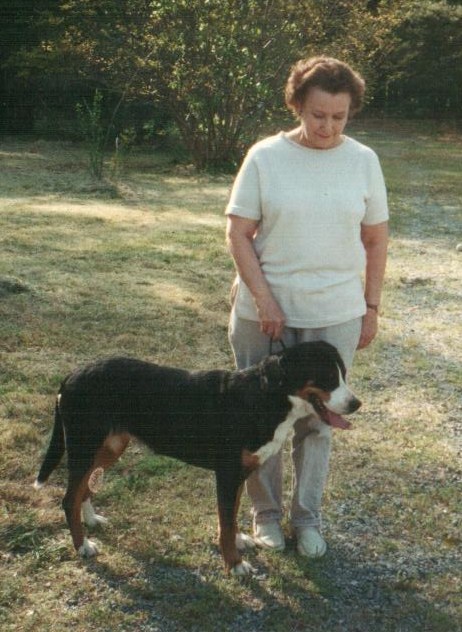 欧足联宣布调查切尔西 欧联杯曾高唱反犹太歌曲-开云电竞中国(图1) 开云电竞官方网站