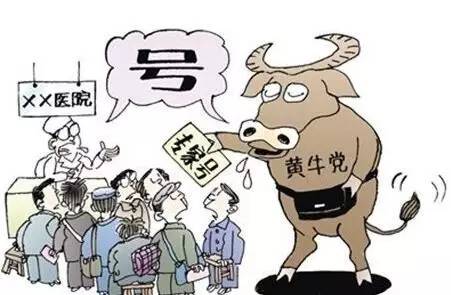 开云电竞官方网站