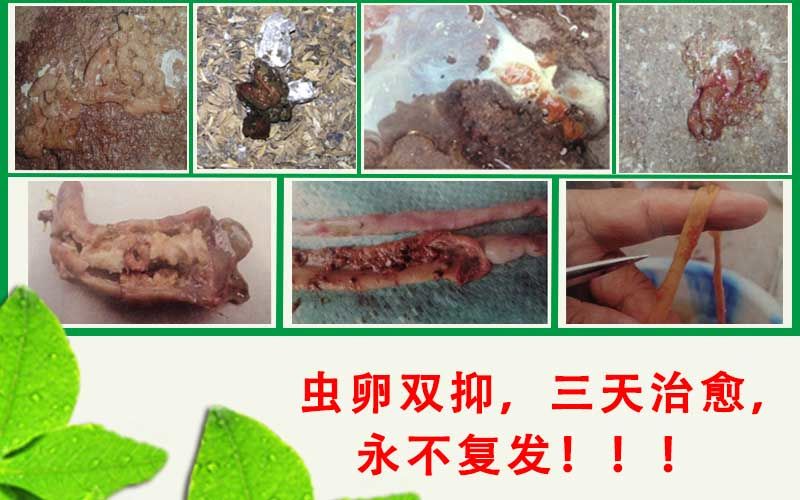 华润三九变更经营范围或将尝试中药材种植“开云电竞中国”(图3) 开云电竞