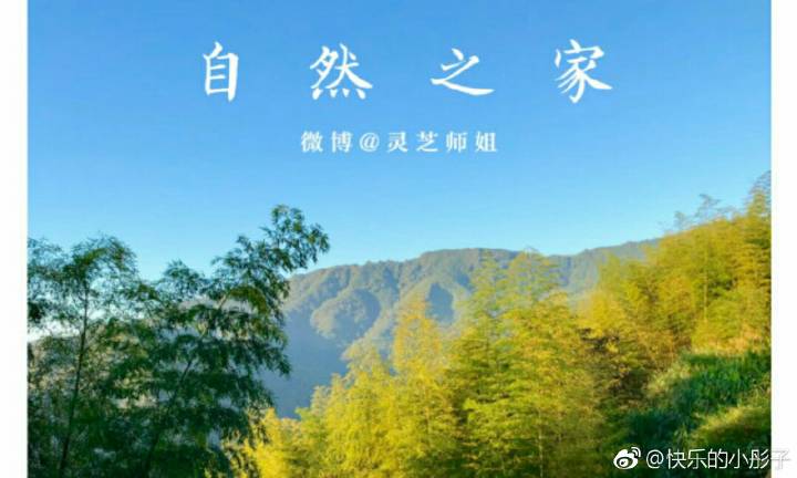 开云电竞|刘若英被拍大肚照 好友证实其已怀孕(图)(图3) 开云电竞中国