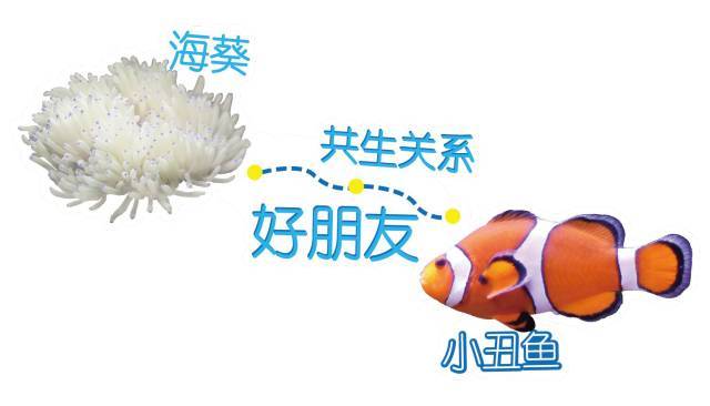开云电竞中国